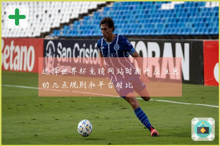 选择世界杯竞猜网站时新手应注意的几点规则和平台对比