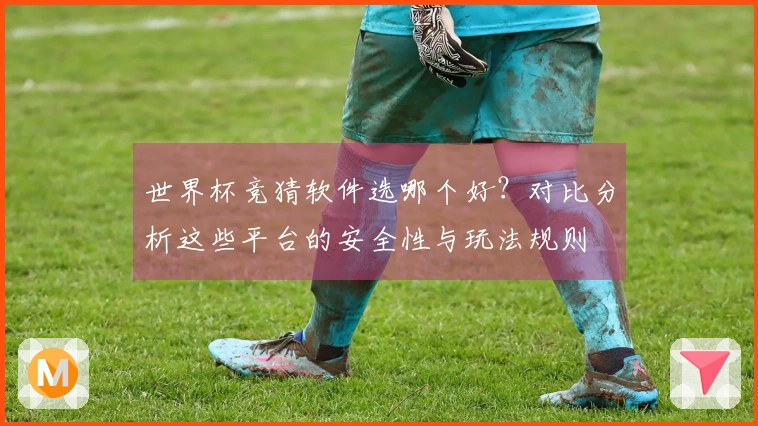 世界杯竞猜软件选哪个好?对比分析这些平台的安全性与玩法规则