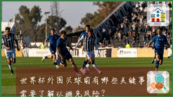 世界杯外围买球前有哪些关键事项需要了解以避免风险？