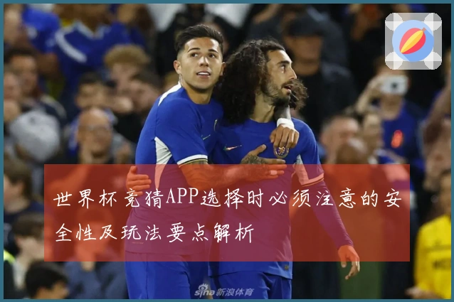 世界杯竞猜APP选择时必须注意的安全性及玩法要点解析