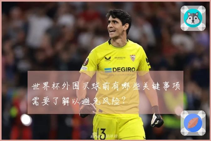世界杯外围买球前有哪些关键事项需要了解以避免风险？