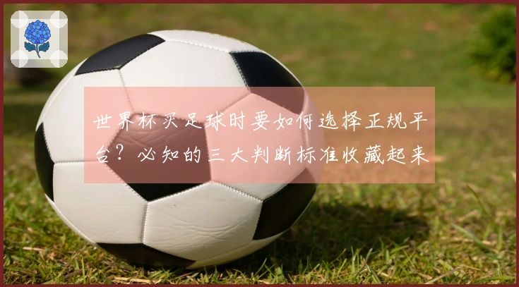 世界杯买足球时要如何选择正规平台？必知的三大判断标准收藏起来！