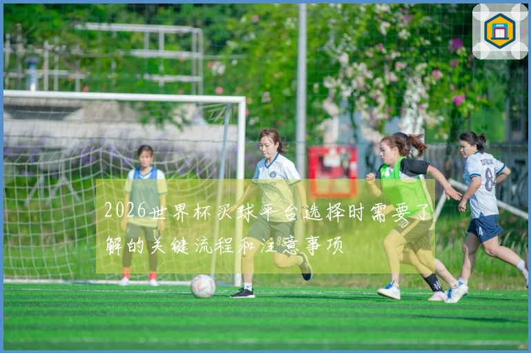 2026世界杯买球平台选择时需要了解的关键流程和注意事项
