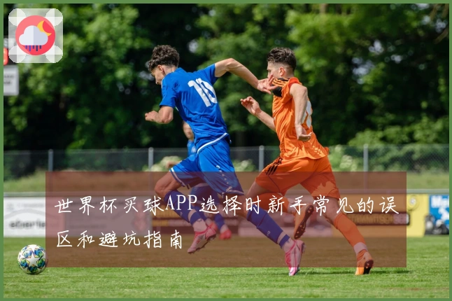 世界杯买球APP选择时新手常见的误区和避坑指南