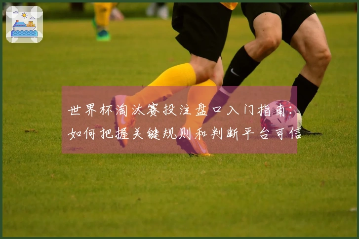 世界杯淘汰赛投注盘口入门指南：如何把握关键规则和判断平台可信度